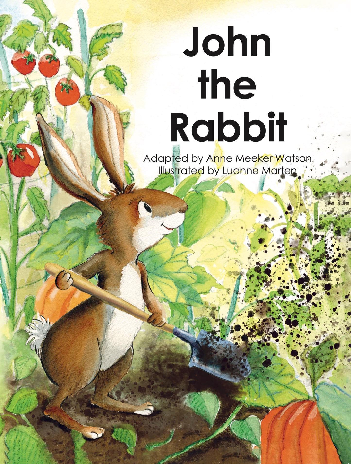 John the Rabbit (Single Educator Book Kit)